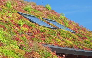 Thornroan living roof systems